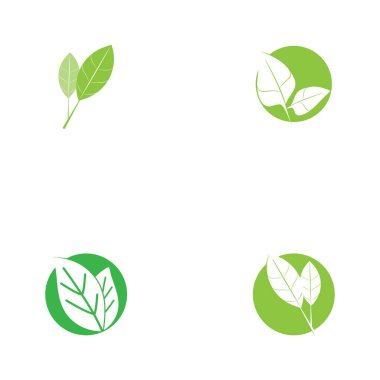 Yaprak yeşil logo ve sembol vektör şablonu