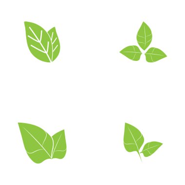Yaprak yeşil logo ve sembol vektör şablonu