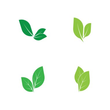 Yaprağın logo simgesi vektör illüstrasyon şablonu tasarımı