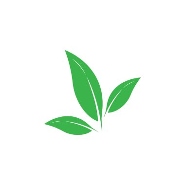 Yaprağın logo simgesi vektör illüstrasyon şablonu tasarımı