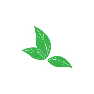 Yaprağın logo simgesi vektör illüstrasyon şablonu tasarımı