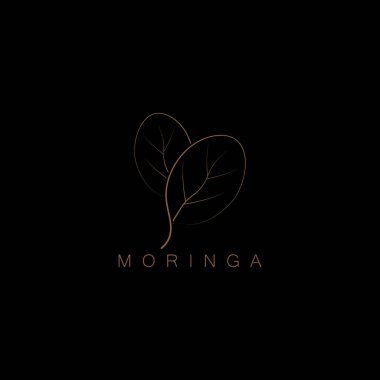 Yaprak logo vektör tasarım şablonu