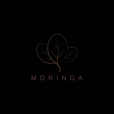 Yaprak logo vektör tasarım şablonu