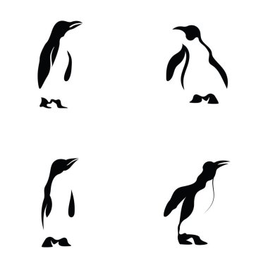 penguen logo vektör illüstrasyon şablonu tasarımı