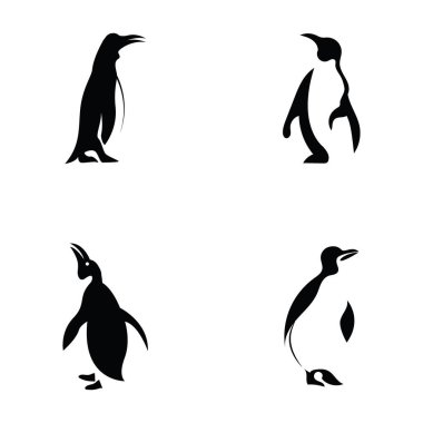 penguen logo vektör illüstrasyon şablonu tasarımı