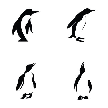 penguen logo vektör illüstrasyon şablonu tasarımı