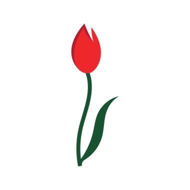 laleler logo vektör film ikonu resimleme şablonu tasarımı