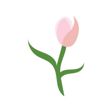 laleler logo vektör film ikonu resimleme şablonu tasarımı