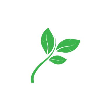Yaprağın logo simgesi vektör illüstrasyon şablonu tasarımı