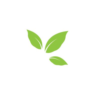 Yaprağın logo simgesi vektör illüstrasyon şablonu tasarımı
