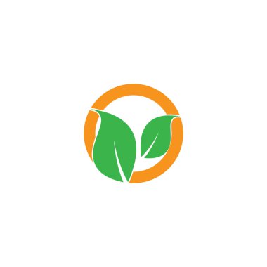 Yaprak logo vektör tasarım şablonu
