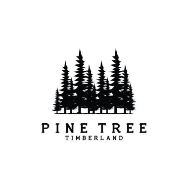 çam ağacı vektör logo illüstrasyon tasarımı