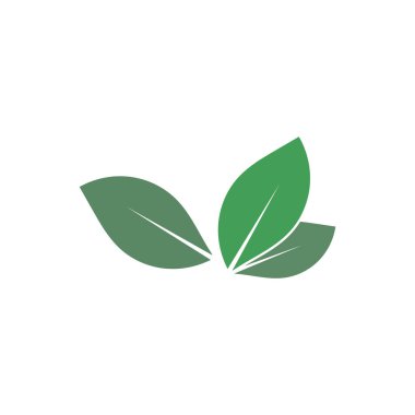Yaprak logo vektör tasarım şablonu