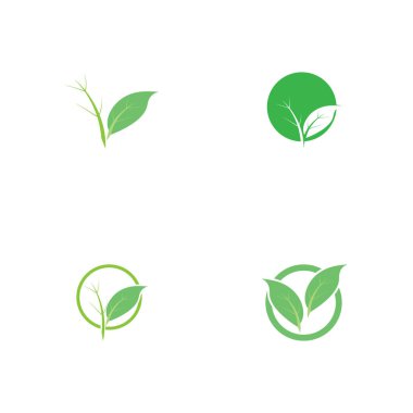 Yaprağın logo simgesi vektör illüstrasyon şablonu tasarımı