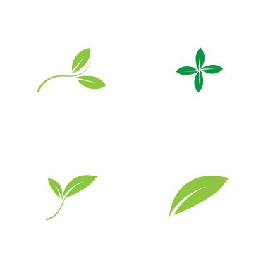 Yeşil yapraklar logosu. Yeşil yaprak simgeleri vektör şablonunu ayarlar