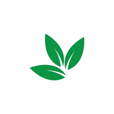 Yaprak yeşil logo ve sembol vektör şablonu