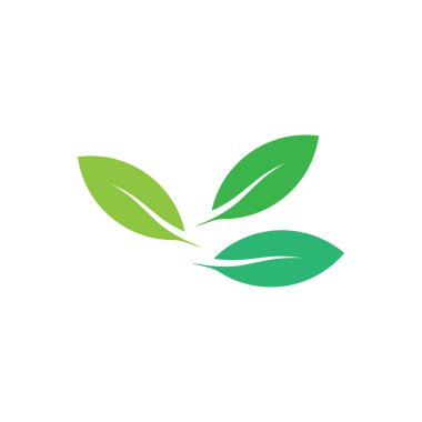 Yaprağın logo simgesi vektör illüstrasyon şablonu tasarımı