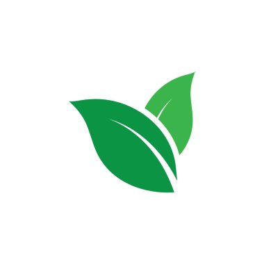 Yaprağın logo simgesi vektör illüstrasyon şablonu tasarımı