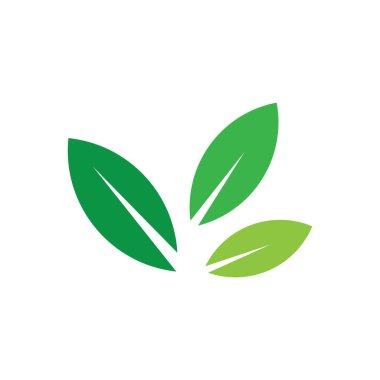 Yaprağın logo simgesi vektör illüstrasyon şablonu tasarımı