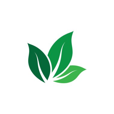 Yaprağın logo simgesi vektör illüstrasyon şablonu tasarımı