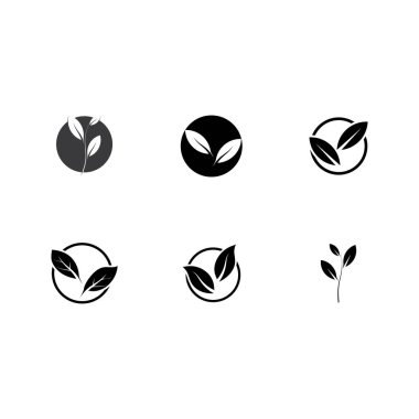 Yaprağın logo simgesi vektör illüstrasyon şablonu tasarımı