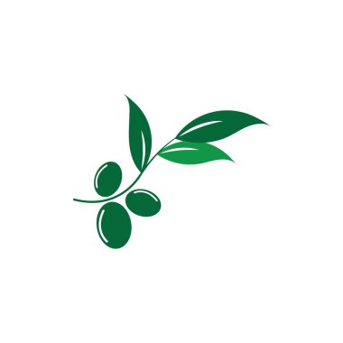 zeytin ikonu vektör çizim şablonu