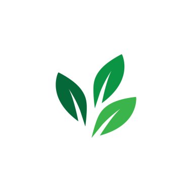 Yaprağın logo simgesi vektör illüstrasyon şablonu tasarımı