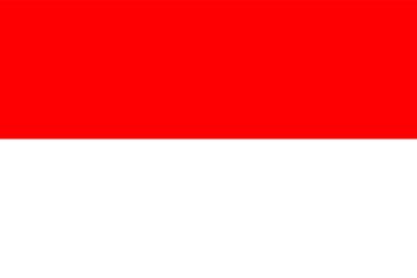 flag of Indonezia on a white background