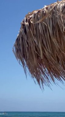 sea beach with palm trees on the blue sky background, wind 