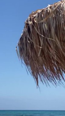 sea beach with palm trees on the blue sky background, wind 
