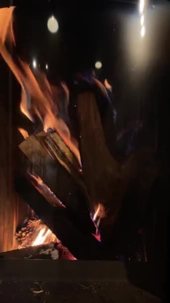 Burning Fire Close View — Stok video
