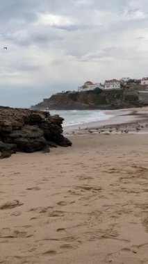 Kumsala vuran okyanus dalgaları, barışçıl deniz manzarası, martılar