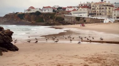 Flying Seagulls on Ocean Beach