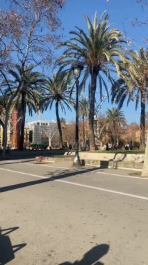 Barselona 'da Palm Trees ile sakin bir stree