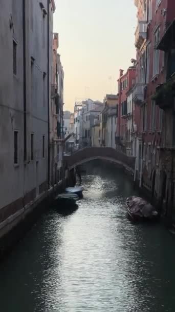 Венеция Каналы Гондола Гондолье Чайки Мост Венецианская Архитектура — стоковое видео