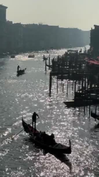 Venedik Kanallar Gondolcular Gondolcular Martılar Köprüler Venedik Mimarisi — Stok video