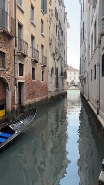 Venedig Kanäle Gondel Gondoliere Möwen Brücke Venezianische Architektur — Stockvideo