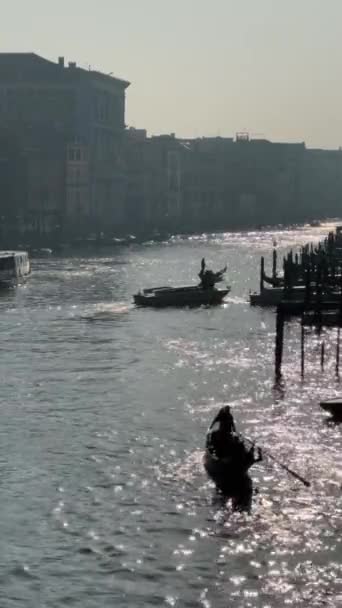 Velence Csatornák Gondola Gondolier Sirályok Híd Velencei Építészet — Stock videók