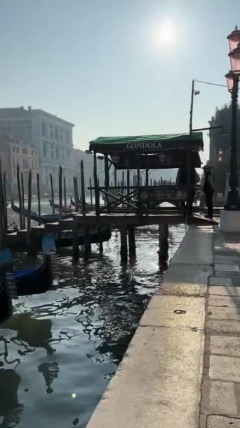 Venezia Canali Gondola Gondoliere Gabbiani Ponte Architettura Veneziana — Video Stock