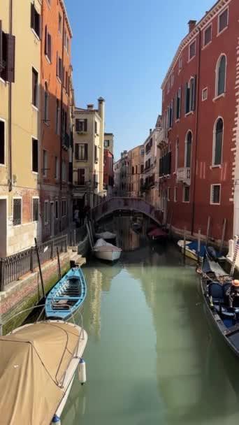 Венеция Каналы Гондола Гондолье Чайки Мост Венецианская Архитектура — стоковое видео