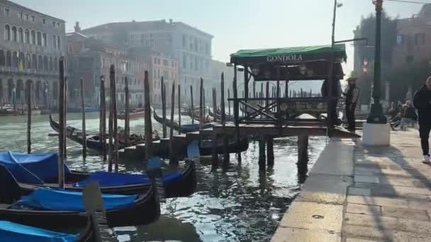 ヴェネツィア ゴンドラ ゴンドラ ゴンドラ カモメ ベネチアン建築 — ストック動画