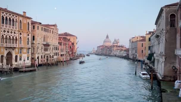 Venise Canaux Gondole Gondole Mouettes Pont Architecture Vénitienne — Video