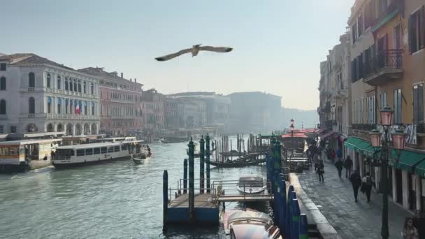 Venise Canaux Gondole Gondole Mouettes Pont Architecture Vénitienne — Video