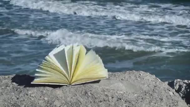 Wind Flipping Notebook Pages Sea — Stock Video