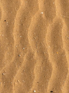 Plaj Kum Doku Arkaplanı, Arkaplan