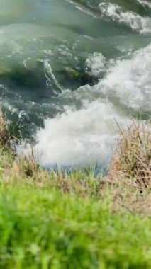 Kükreyen nehir, yakın çekim, doğa gücü. Yüksek kaliteli FullHD görüntüler