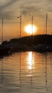 Körfezdeki iskelede Golden Hour Sunset, uçan martı, tekne. Slow Motion Video Arkaplanı. Yüksek kaliteli FullHD görüntüler