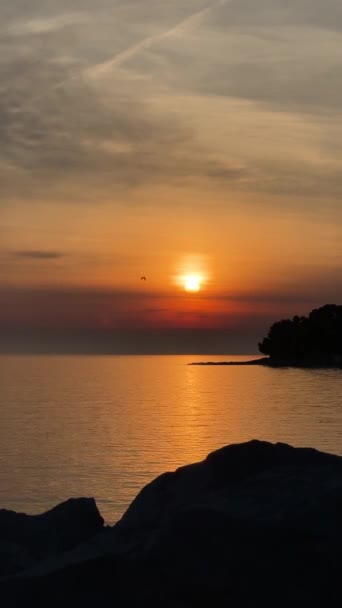 Goldene Stunde Sonnenuntergang Pier Der Bucht Fliegende Möwe Boot Slow — Stockvideo