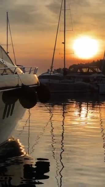 Golden Hour Sunset Bij Pier Baai Vliegende Meeuw Boot Slow — Stockvideo