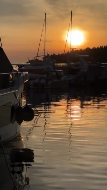 Χρυσή Ώρα Ηλιοβασίλεμα Στην Προβλήτα Του Κόλπου Ιπτάμενος Γλάρος Βάρκα — Αρχείο Βίντεο